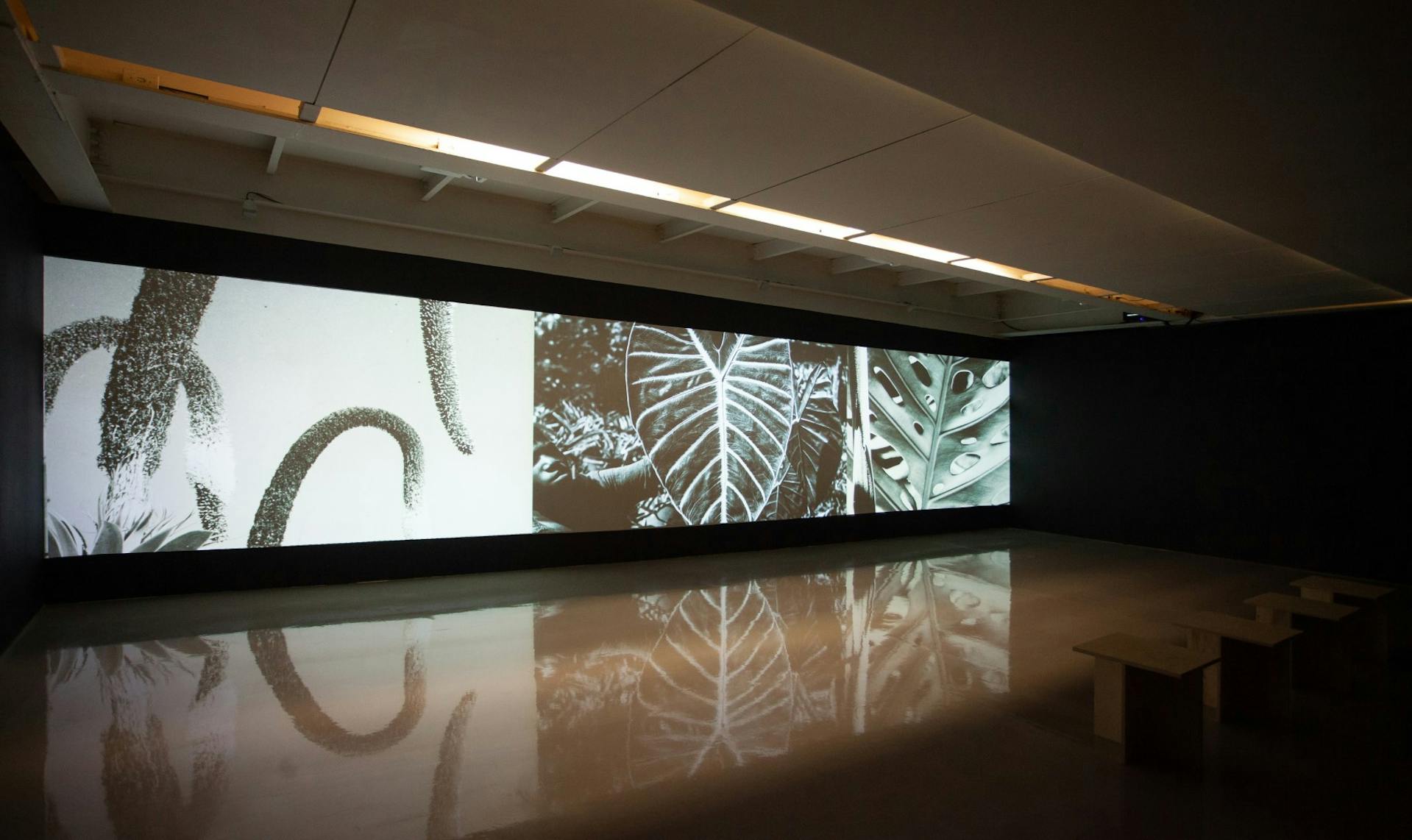 Paisagem Construída: São Paulo e Burle Marx, Imagens da exposição