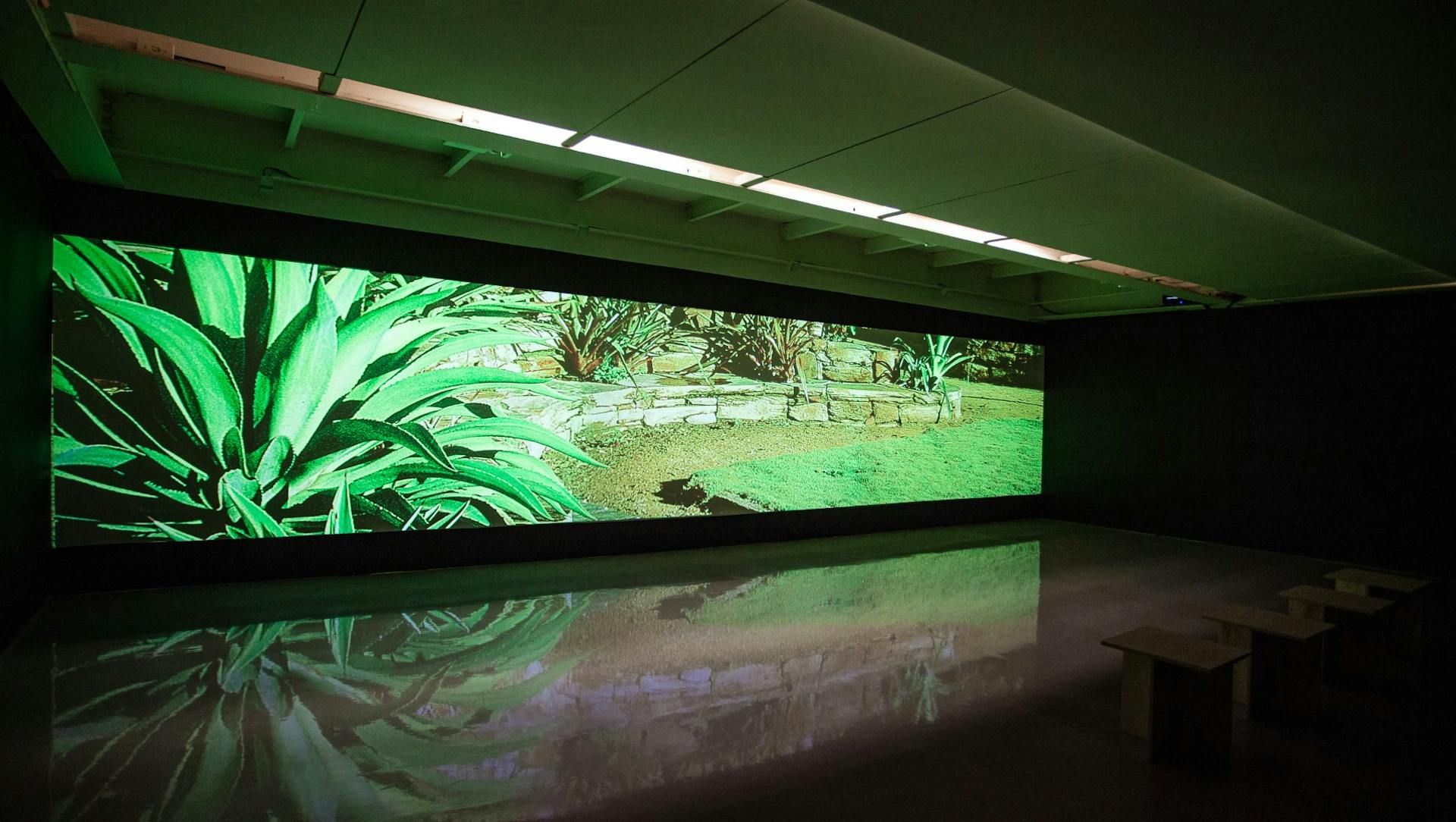 Paisagem Construída: São Paulo e Burle Marx, Imagens da exposição